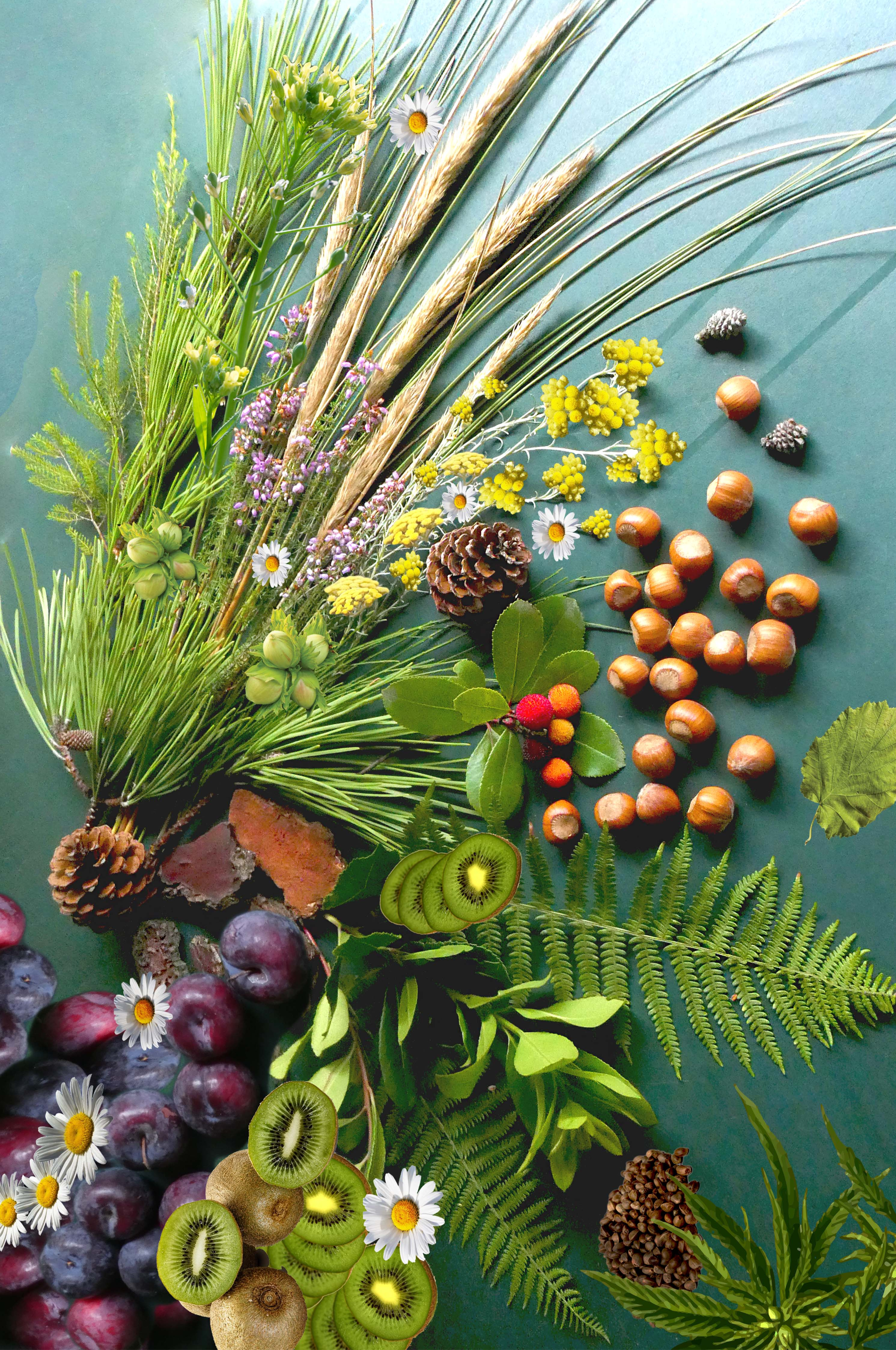 DROP - MERVEILLE DES LANDES BIO - Soin de peau Sensible Régénération Intégrale-1